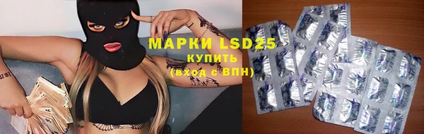 PSILOCYBIN Няндома