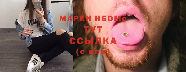 ешки Новодвинск