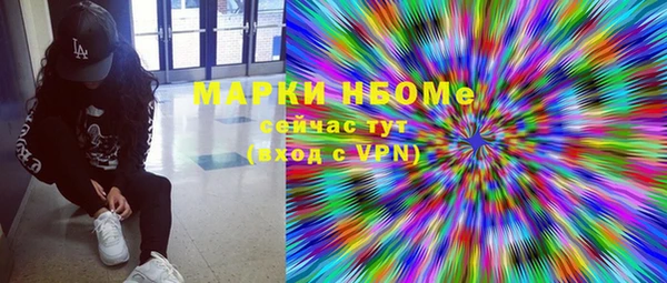 ешки Новодвинск