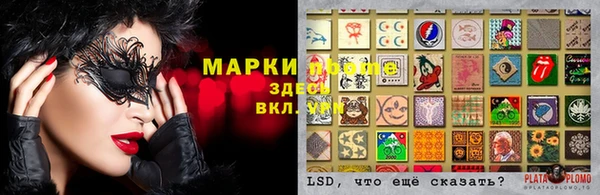 ешки Новодвинск